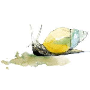 La marca en la pared